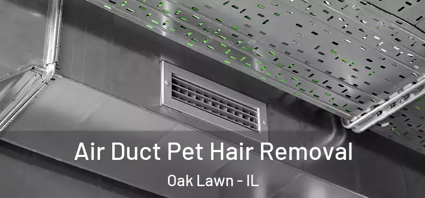 Air Duct Pet Hair Removal Oak Lawn - IL