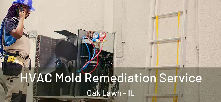  HVAC Mold Remediation Service Oak Lawn - IL