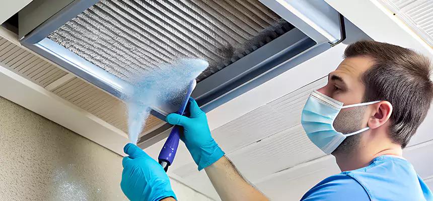 Proactive Dryer Vent & Auxiliary Duct Pollen Cleanup in Oak Lawn, IL