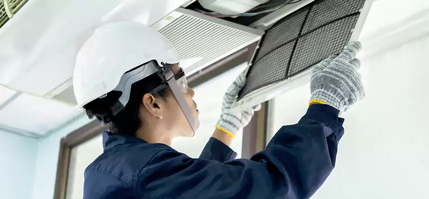 Our Mold & Mildew Removal from Air Ducts Services in Oak Lawn, IL