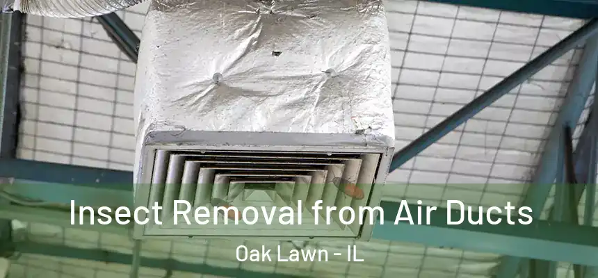  Insect Removal from Air Ducts Oak Lawn - IL