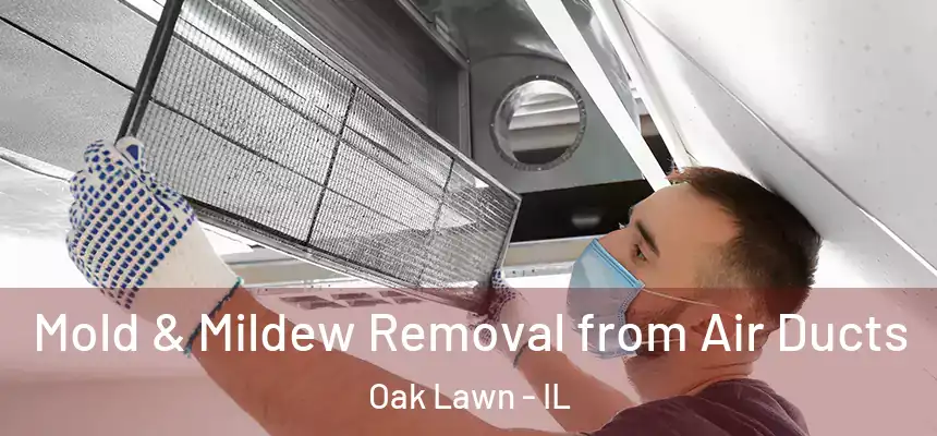  Mold & Mildew Removal from Air Ducts Oak Lawn - IL