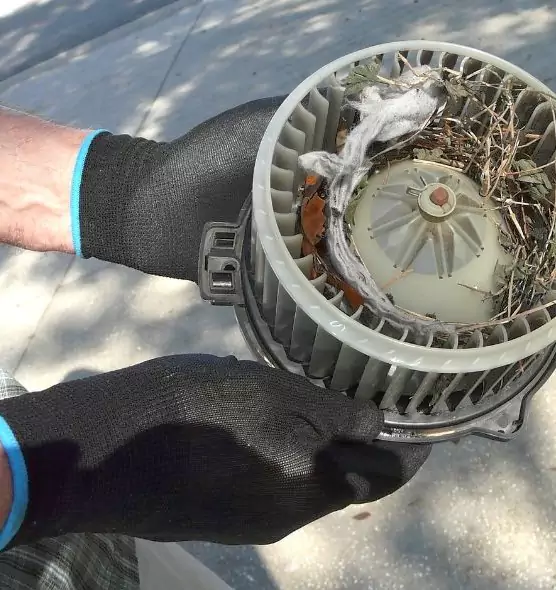 About Air Duct Mice Removal in Oak Lawn, IL