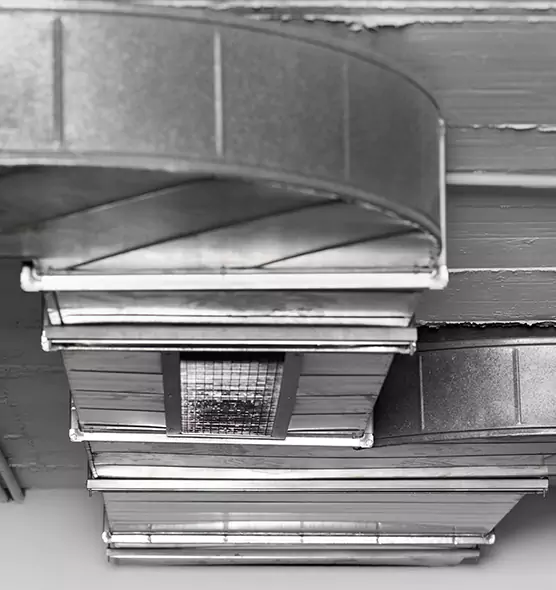 Professional Air Duct Pet Hair Removal in Oak Lawn, IL