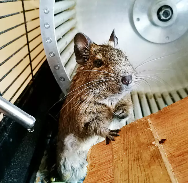 Why Homeowners & Businesses Trust Us Oak Lawn, IL?